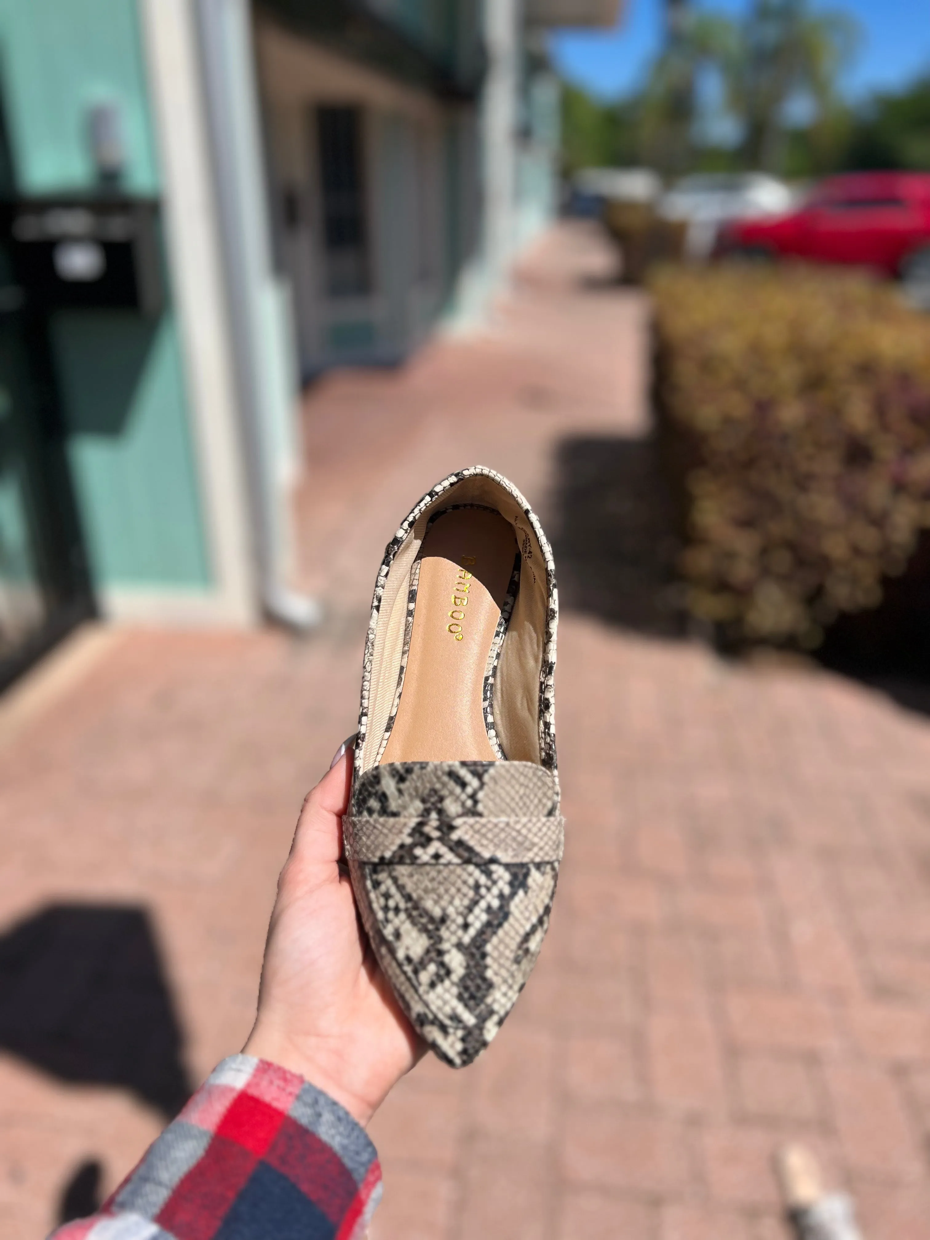 DIARY SLIP ON POINTY TOE LOAFE